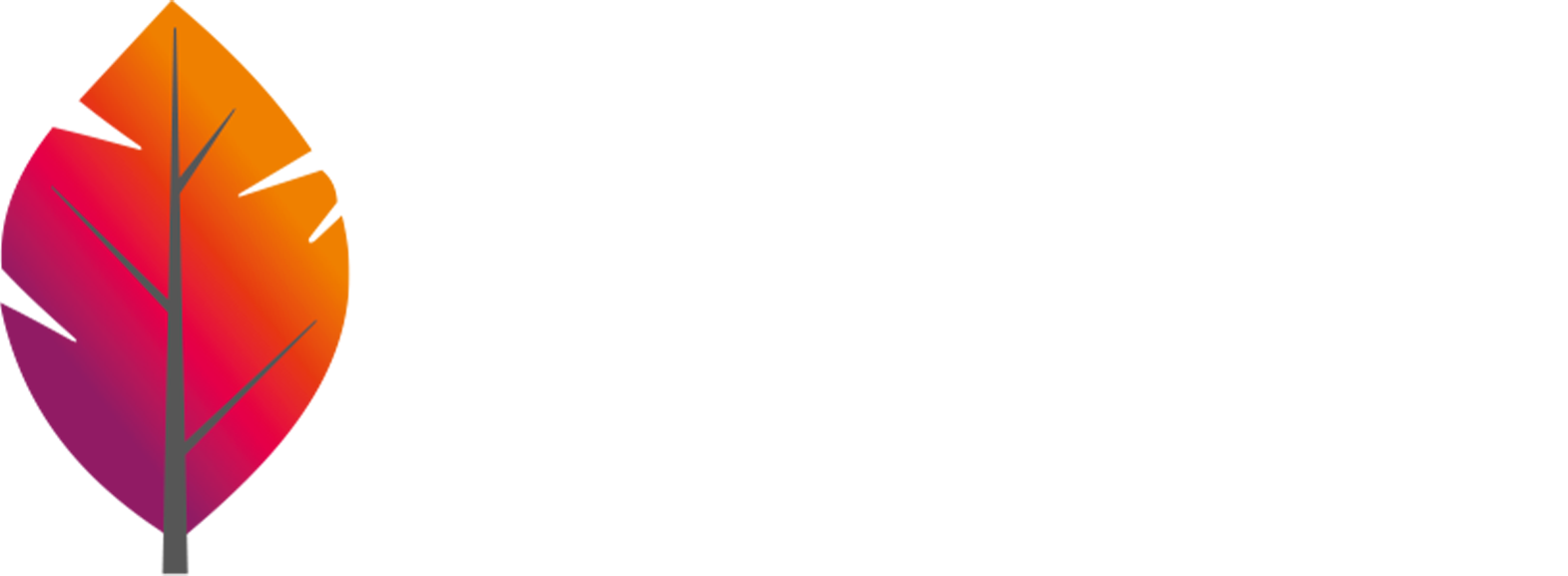 Digital Brazil